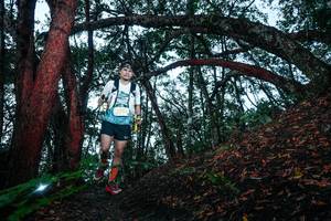 BIB: 
                            <button type="button" onclick="openModal(26343069)" class="btn btn-primary btn-sm float-right btn-popup" data-toggle="modal" data-target=".modal-high-quality">
                        <i class="fas fa-shopping-cart"></i> Add to Cart
                    </button>
                                            <button type="button" onclick="isThisMe(26343069, true)" class="btn btn-success btn-sm float-right btn-popup btn-isme hidden" data-toggle="tooltip" data-placement="bottom" title="นี่คือรูปของคุณใช่ไหม คลิกที่นี่เพื่อเอาเข้าอัลบั้ม">
                        <i class="fas fa-plus"></i> Add to album
                    </button>
                    <button type="button" onclick="isThisMe(26343069, false)" class="btn btn-warning btn-sm float-right btn-popup btn-isnotme hidden">
                        <i class="fas fa-ban"></i> Remove from album
                    </button>